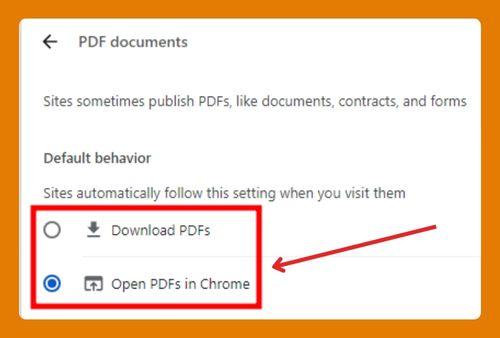 Chrome PDF Settings (The Ultimate Guide for 2024)