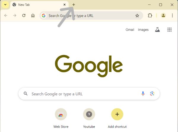 how to add website to chrome homepage