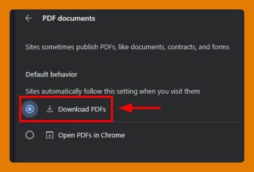 Download a PDF Instead of Opening It in Google Chrome (2025)