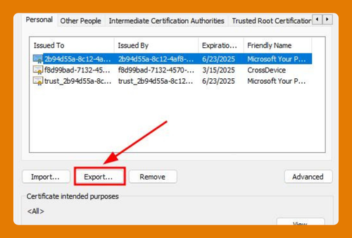 Export a Certificate From Google Chrome (Easiest Way in 2024)