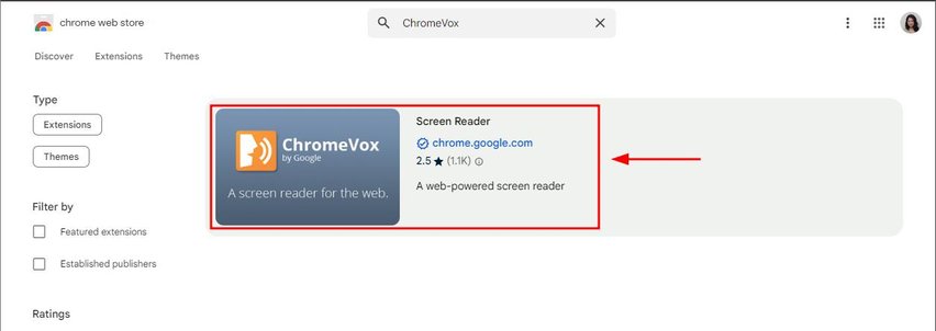 chrome extension screen reader